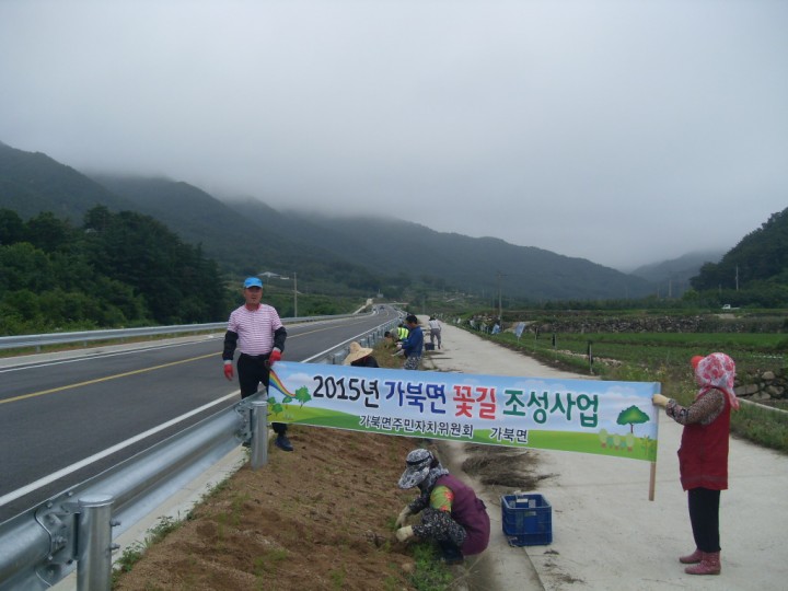 가북면 주민자치위, 코스모스 꽃길 조성사업 추진