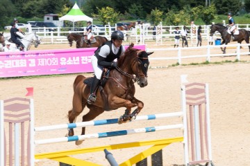 구미시, 전국학생승마선수권대회, 구미시장배 전국승마대회, 추계전국종합마술승마대회 개최
