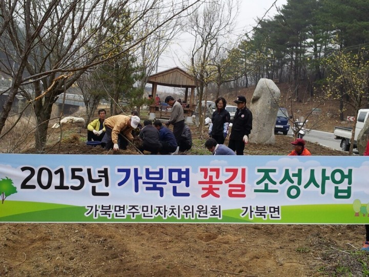 가북면 주민자치위원회, 국화단지 조성