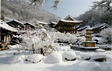 눈부신 눈꽃의 향연  겨울 명소 ‘영주 소백산 부석사’ 