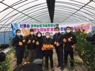신용습 경북농업기술원장, 고령 한라봉 농가 방문