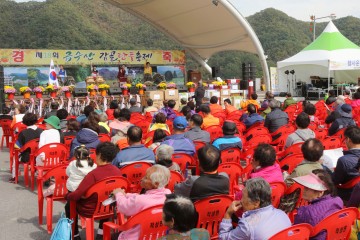단양군,제19회 금수산 감골단풍축제 팡파르