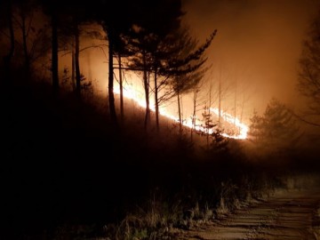 [기고] 봄철 산불화재 작은관심으로 예방하자