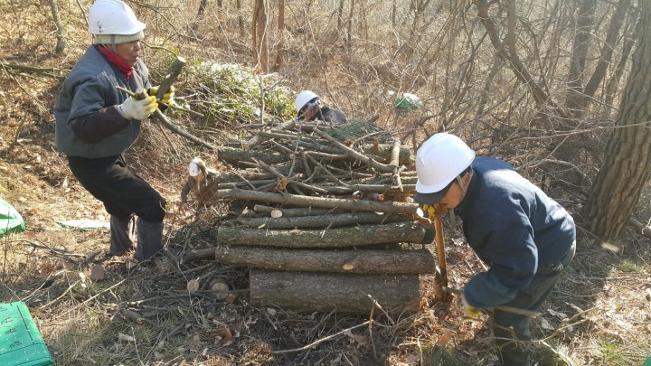 북구 소나무재선충병 추가발생분 방제 추진