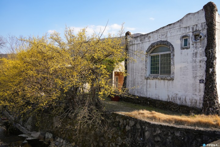 “봄바람 타고 떠나요~”… 경주 봄꽃 명소 추천 20선