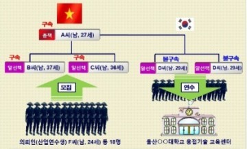 해외현지 한국어검정 부정시험 후 대규모 불법입국한 일당 23명 검거