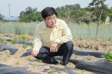 이춘희 세종시장, 가뭄현장 점검