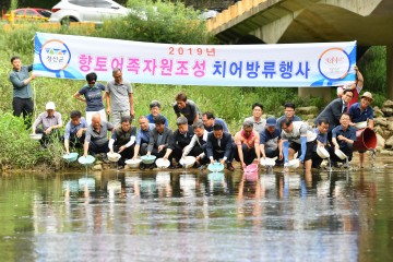 정선군, 향토어종 치어 방류