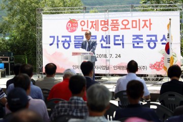 강원도 인제, 오미자 생산과 가공으로 도약 중