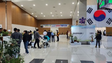 구미시, 국화의 향기 속 가을 힐링, 국화분재 전시회 개막