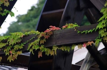 경북교육연대, 해직교사 복직 및 전교조 합법화 요구