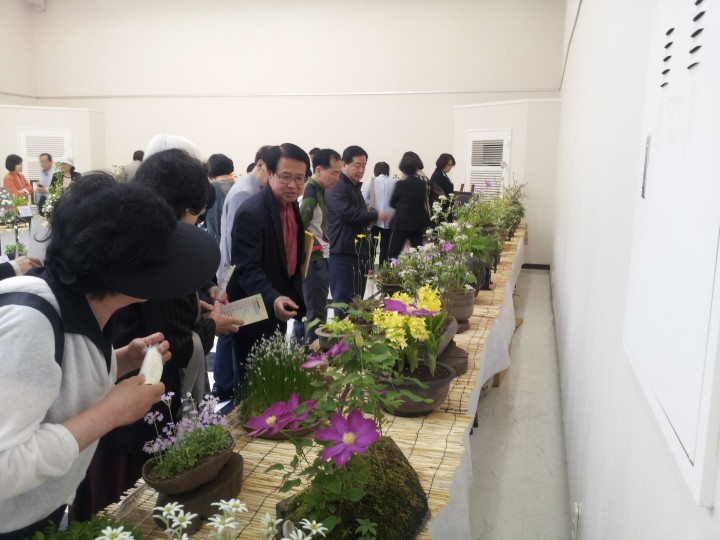 공주시, 제5회 흥미진진 야생화 전시회 개최