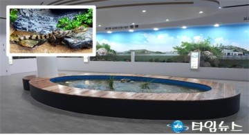 삼척 민물고기전시관 어린이 위한 다양한 닥터피쉬 체험 추진