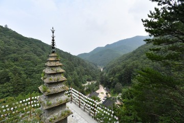 정선군 정암사 수마노탑 국보 승격 추진