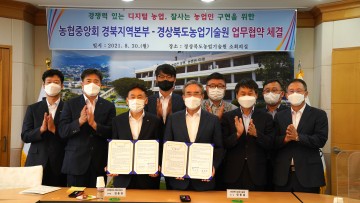 경북도, 농협과 농산물 생산․판매 전과정 공동협력 한다