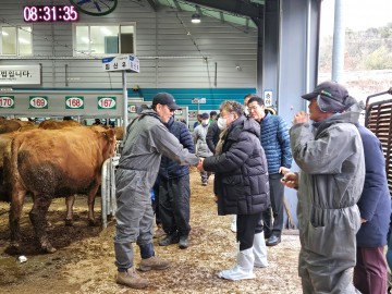 장세일 영광군수, 설 명절 앞두고 영광가축시장 방문