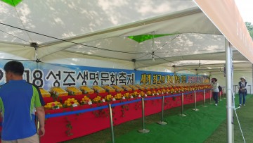성주참외 전시장 에서 성주참외 인기 실감