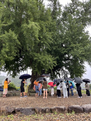 강진군, 농촌 매력 담은 체류형 마을여행 상품 만든다  