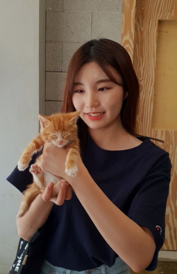 세종시, 입양 유기동물 진료비 지원