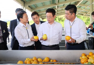 성주군, 참외 조수입 6,200억 원 달성…농업 소득 1조 원 시대 준비