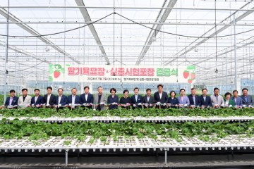 고령군, 딸기육묘장 및 실증시험포장 준공