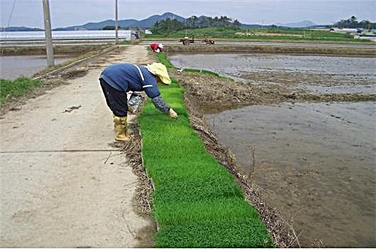 군산시농업기술센터 육묘상처리제 31일까지 신청 