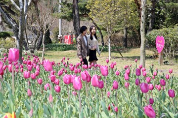 “하늘빛수목원으로 튤립 보러 오세요"