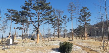 김천시, 산업단지 주변 미세먼지 차단숲 조성 완료