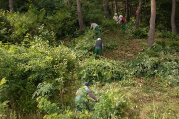 명품 산림자원 보호‘앞장’서는 청송군