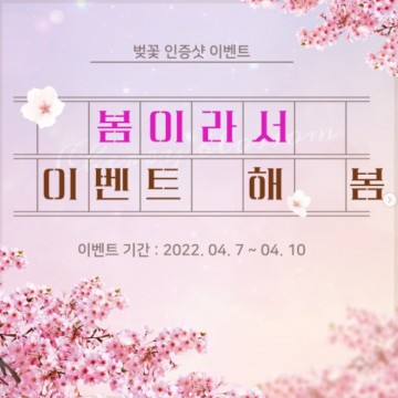 안동 벚꽃길에서 ‘봄이라서 이벤트 해 봄’