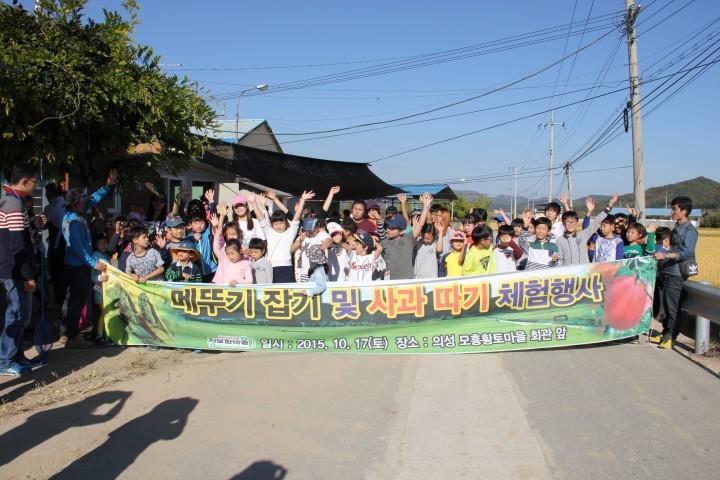  의성군 메뚜기 잡기 체험행사 펼쳐