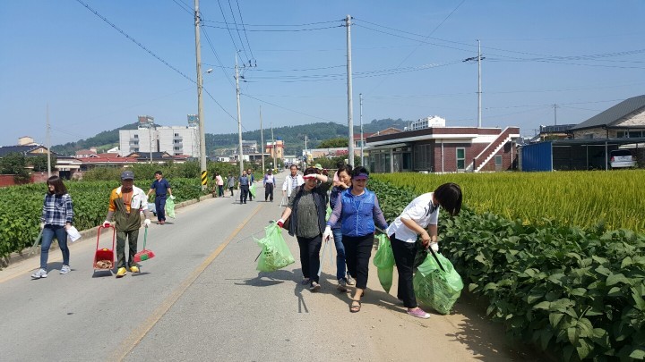 부안읍 이장단협의회 환경정화활동