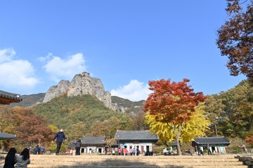 위드코로나 시대 힐링관광도시로‘우뚝’ 서는 청송