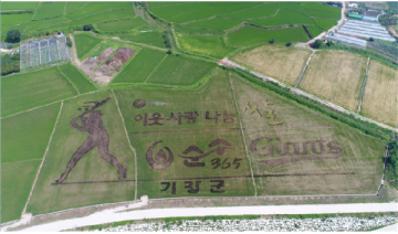 부산기장·롯데·상수도사업본부, 손잡고 ‘이웃 사랑 쌀’ 나누기 
