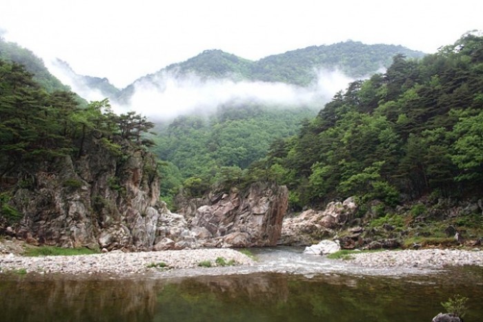 울진 굴구지마을에서 봄을 마음껏 즐겨보세요
