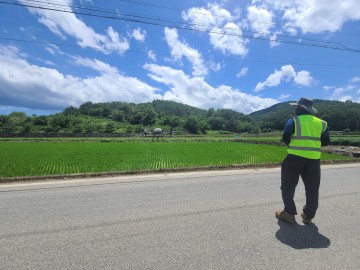 영덕군, 드론 활용 벼 병해충 공동방제 시행