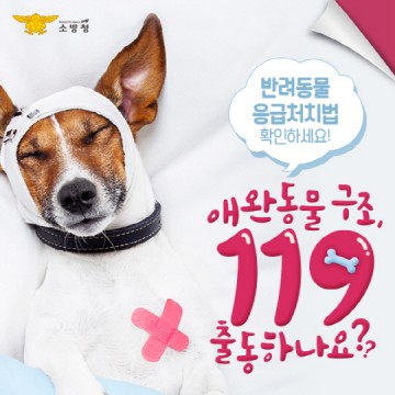 순천소방서, 반려동물과 함께 안전한 삶을 꿈꾸자