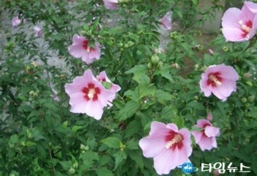 풍암생활체육공원, 나라꽃 무궁화동산 조성