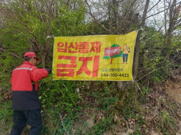 세종시, 24일부터 입산금지 행정명령 해제