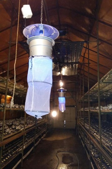 영주 농업기술센터 버섯파리 형광램프 이용 포획기술 보급에 나섰다