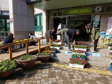 수곡2동 꽃 보러 주민센터로 오세요