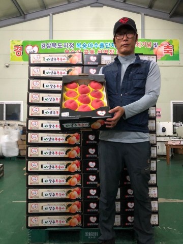 상주시,  프리미엄 복숭아로 싱가포르 시장 뚫기 위한 도전!