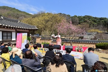 산수유꽃 활짝 핀 봉화 두동마을서 열린 산수유 신춘 시 낭송회 ‘성료’