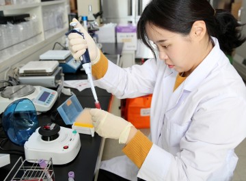 태안군, 소 임신 조기진단으로 축산농가 소득향상