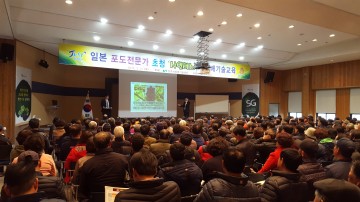 샤인머스켓! 이제는 품질만이 살길이다!!