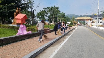 평창 효석 문화제 대비, 굿 매너 평창문화시민운동