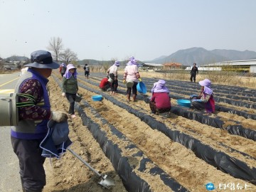 탄부면 상장1리 공동체 활동으로 생산적 여가생활 증진...