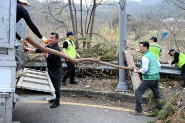 대전 중구, 보문산 등산로 환경정비 실시