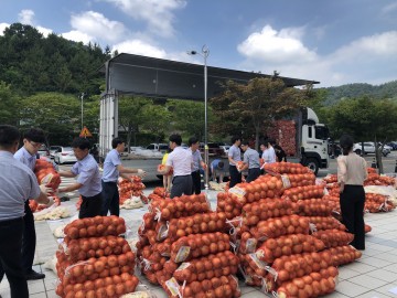 전남도, 양파 생산농가 돕기 위한 소비‧촉진 행사 열어