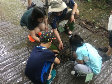 ‘아토피 가족 숲 치유’자연과 교감…피부염 완화에 정서 안정 효과